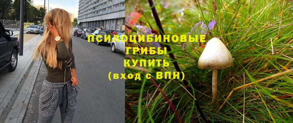 дмт Медногорск